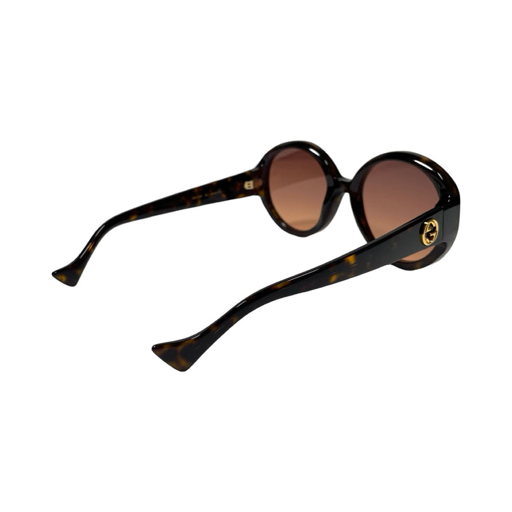 Gucci - GG Havana Red Interlocking G Round Sunglasses