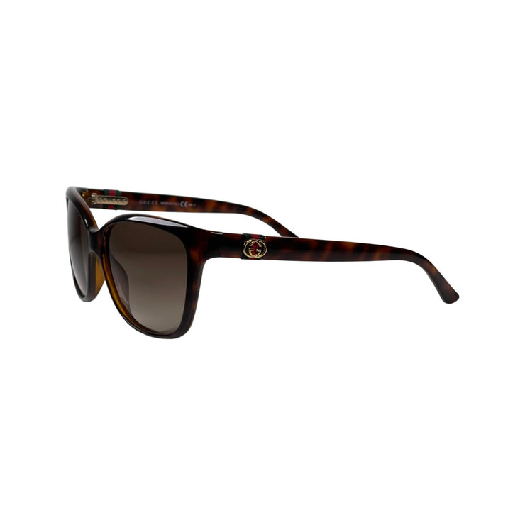 Gucci - Havana w/ Web Stripe Sunglasses